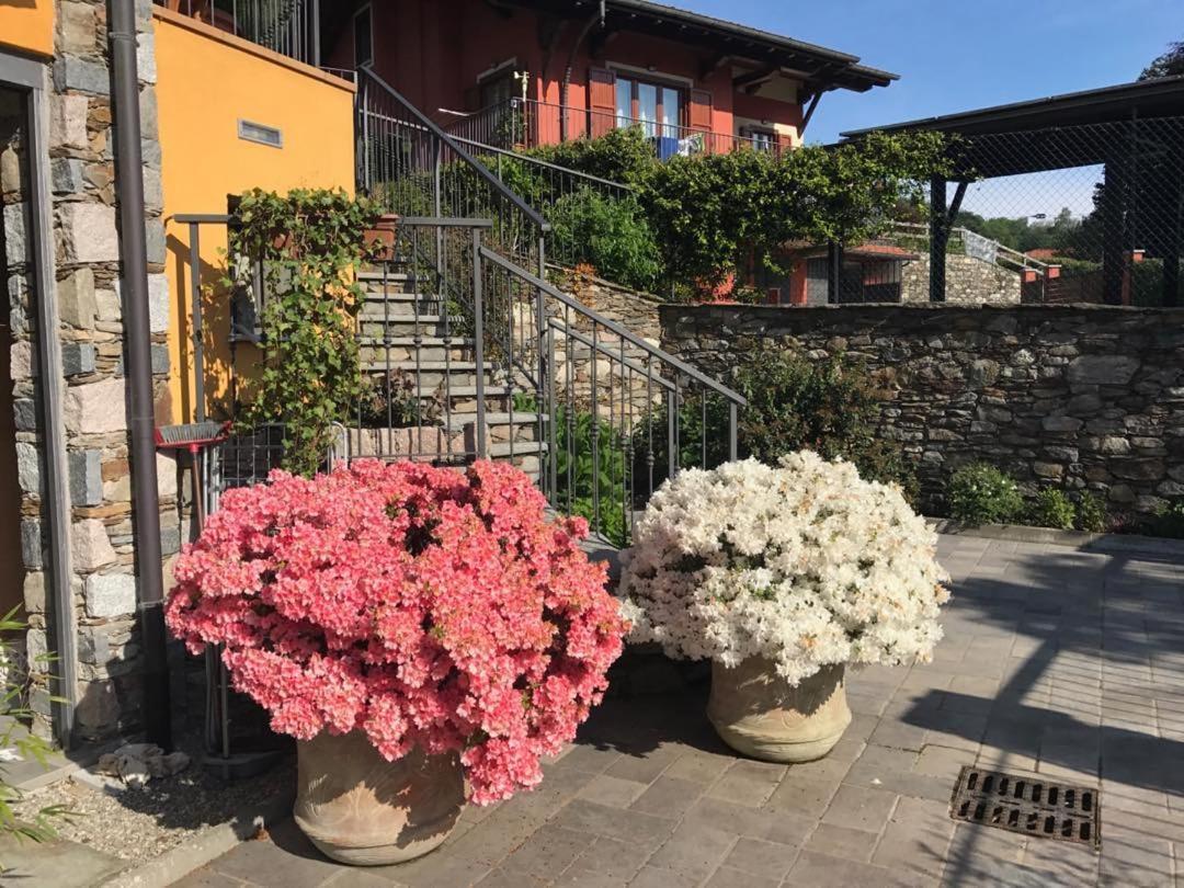 Вилла Vill'Ariel Sport & Relax Brovello-Carpugnino Экстерьер фото